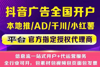 解析某某SEM服务公司的广告投放策略与效果评估