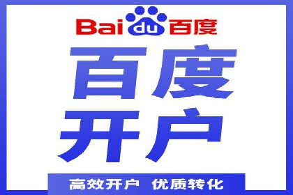 案例解读：网络推广与竞价策略